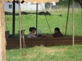 2009 Eagles Nest Mission Trip 136.jpg